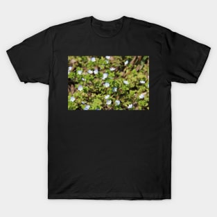 Tiny Blue Flower Meadow T-Shirt